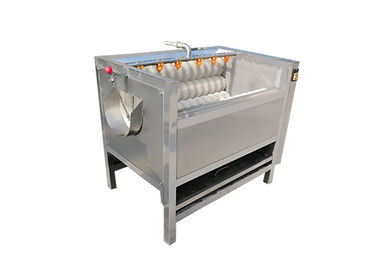 lavadora de la escobilla de la banda transportadora de la fábrica de la comida 1000kg/h