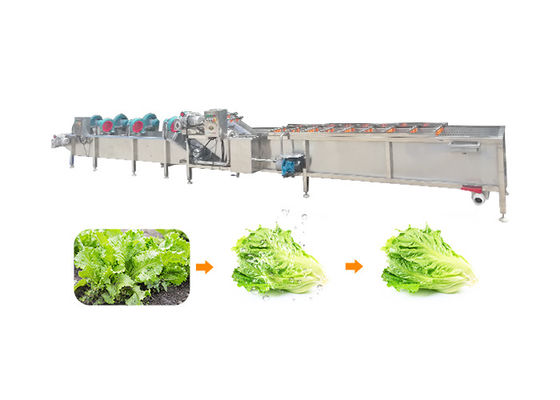 máquina más seca vegetal de las zanahorias 10.1kw 1500kg/h SS304