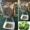 Cortador de la verdura frondosa verde de las empresas del abastecimiento, cortadora de la patata