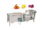 lavadora vegetal de acero inoxidable del SUS 304 de la lavadora de la burbuja de aire de la col de los tomates 500kg/H