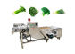 Da fruto la lavadora vegetal 380V con el transportador