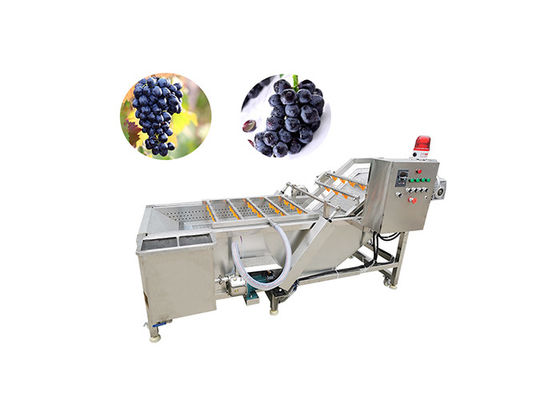 el proceso de lavado de la secadora de la uva 500KG/Hour trabaja a máquina para la pasa