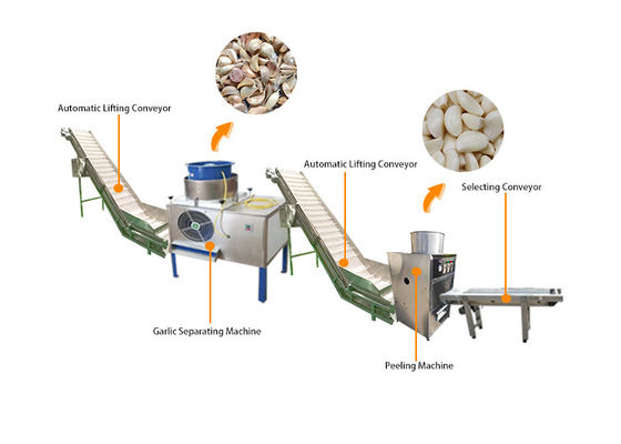 Ajo automático industrial que se rompe pelando la cadena de producción de máquina de proceso de Peeler