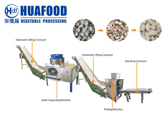 1000-2000 cadena de producción automática industrial de máquina de proceso de Peeler del ajo del kg/h