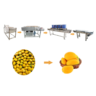 Línea capital grande de la limpieza de la fruta y verdura de la lavadora vegetal del mango