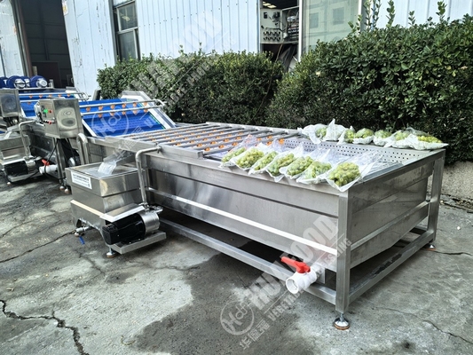 Lavadora de frutas y verduras con plumas y 220V