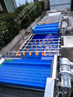 Lavadora de frutas y verduras con plumas y 220V