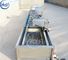 Lavadora vegetal industrial de la lavadora vegetal ultrasónica automática del acero inoxidable 304