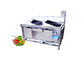 Esterilizador del limpiador del lavado de la lavadora de la verdura y de la fruta del ozono de la capacidad grande