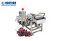 Una máquina más limpia de la uva de la lavadora de la fruta y verdura SUS304