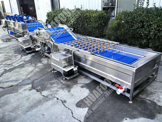 Lavadora de frutas y verduras con plumas y 220V